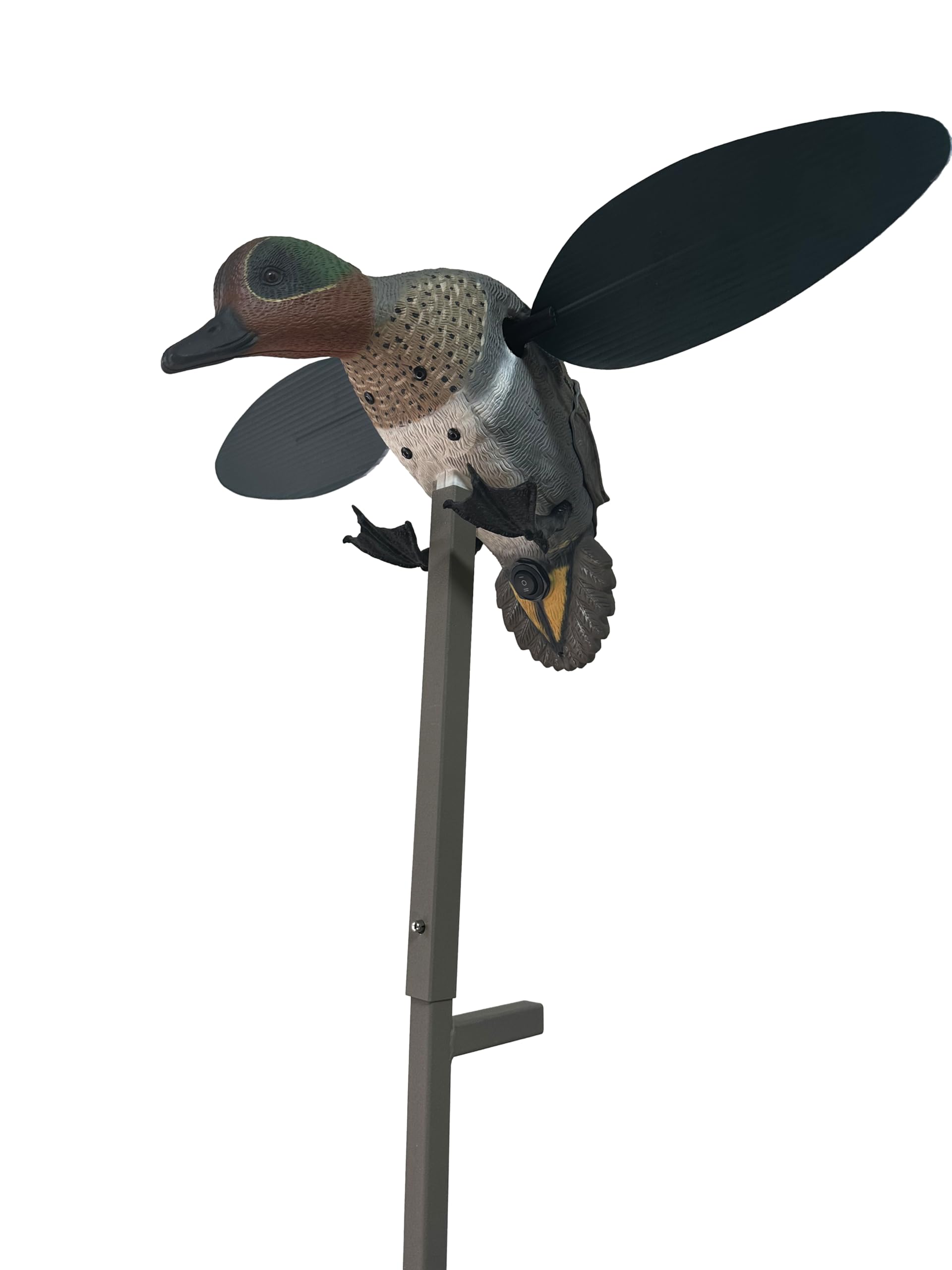 MOJO Outdoors Green Wing decoy full-body realism for lifelike waterfowl attraction