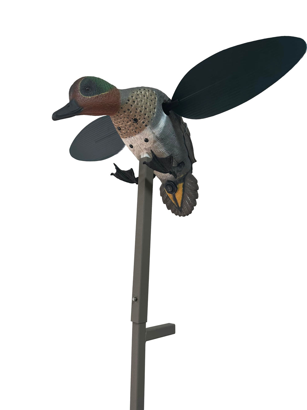 MOJO Outdoors Green Wing decoy full-body realism for lifelike waterfowl attraction