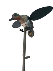 MOJO Outdoors Green Wing decoy full-body realism for lifelike waterfowl attraction