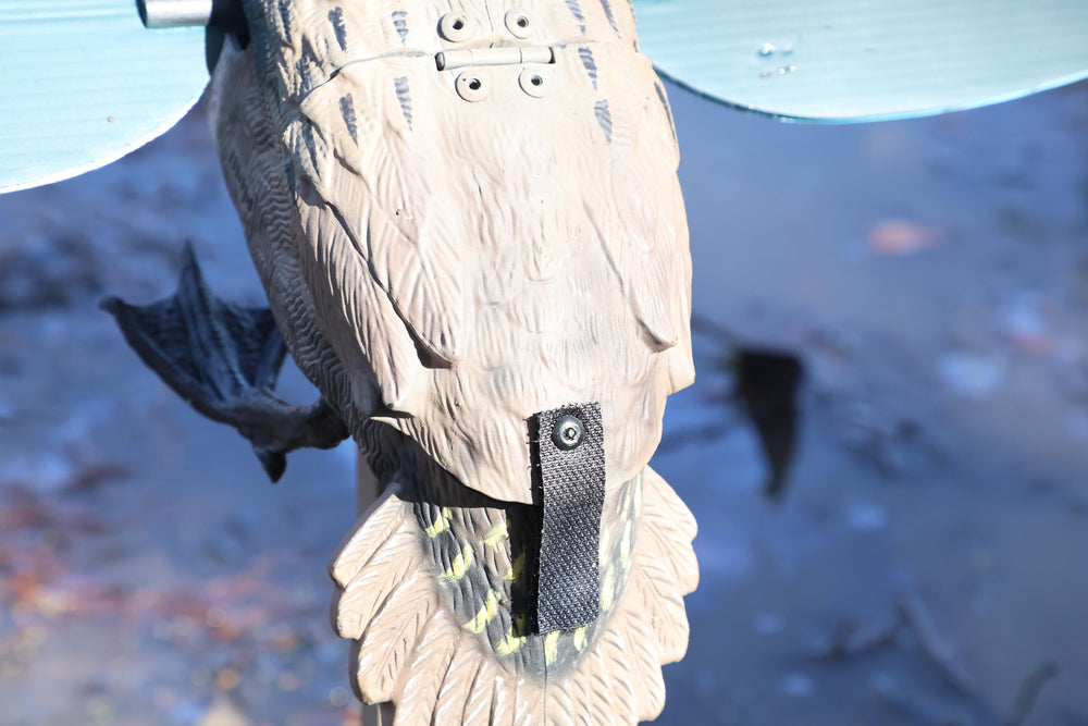 MOJO Outdoors Green Wing magnetic wings for quick setup