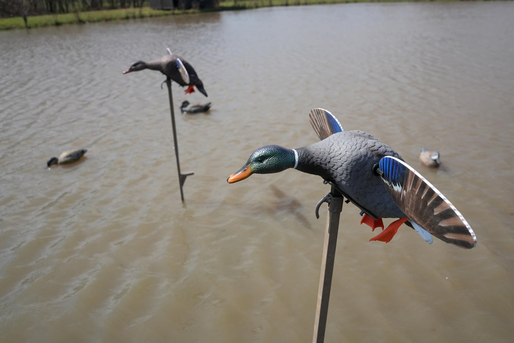 MOJO Outdoors Mini Mallard Drake hen-style housing removal for simple cleaning