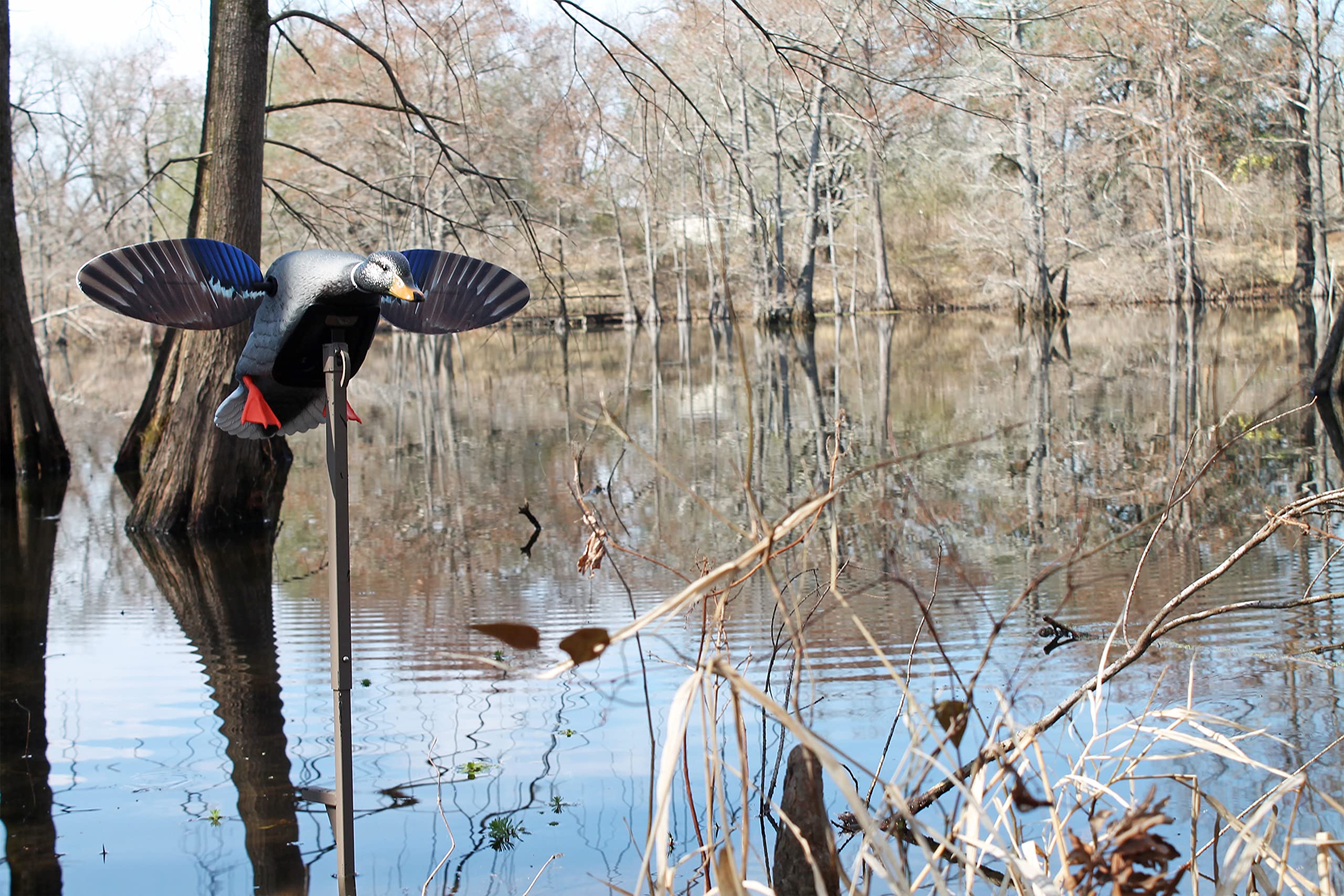 MOJO Outdoors Mini Mallard Drake motor and frame view shows sturdy support and quiet operation
