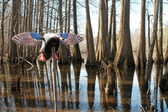 MOJO Outdoors Mini Mallard Drake wings attachment demonstrates easy-on/off magnetic wings