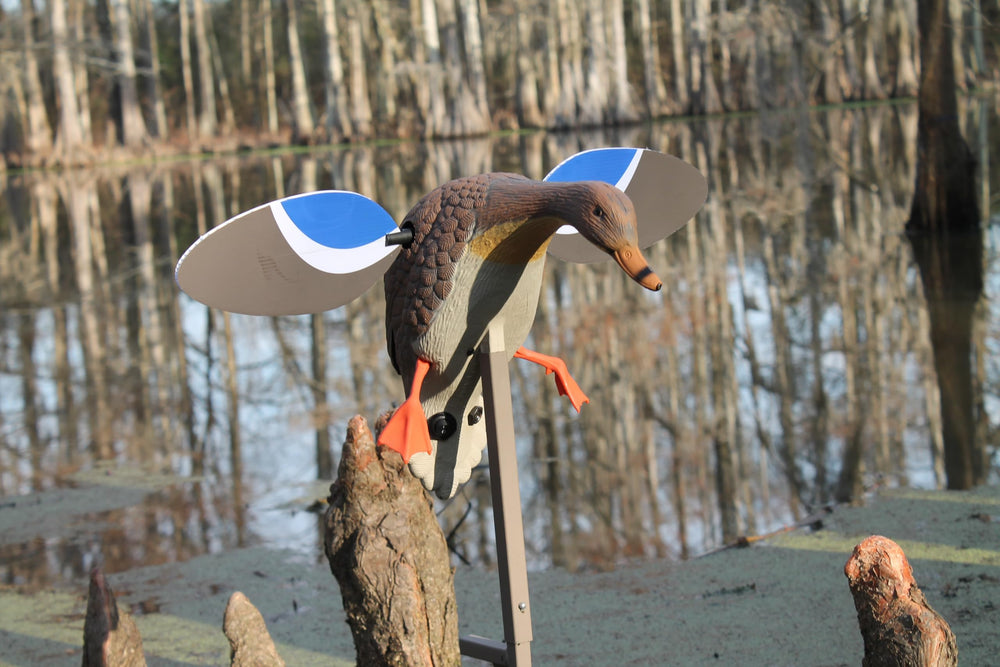 MOJO Outdoors Mini Mallard Hen decoy battery-holder focus enables quick field setup