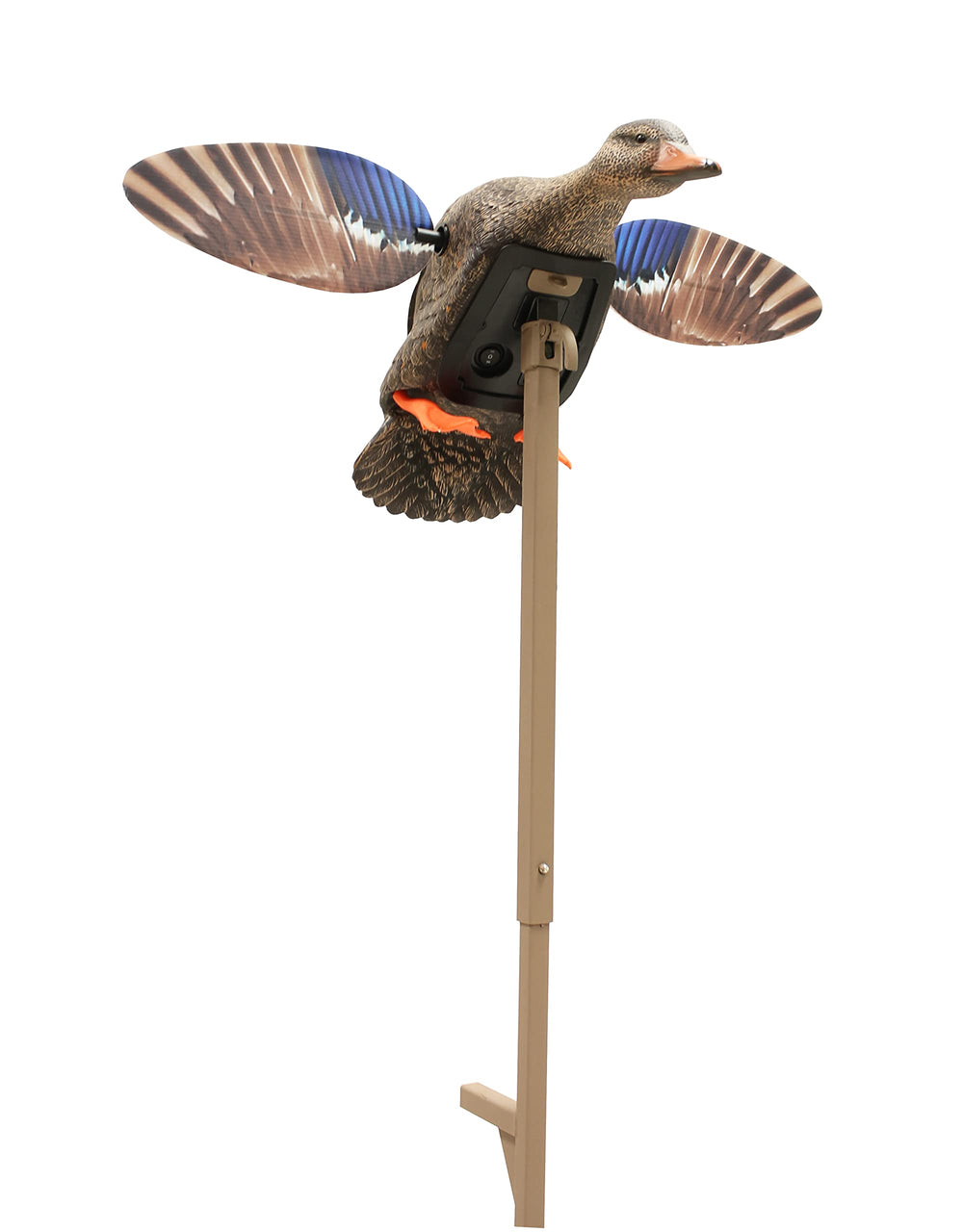 MOJO Outdoors Mini Mallard Hen decoy full view improves realism to attract ducks