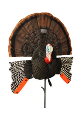 MOJO Outdoors Scoot-N-Shoot Max turkey fan for close-range concealment.