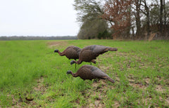 MOJO Outdoors decoy with weather-ready build stands up to sun, wind, and rain.