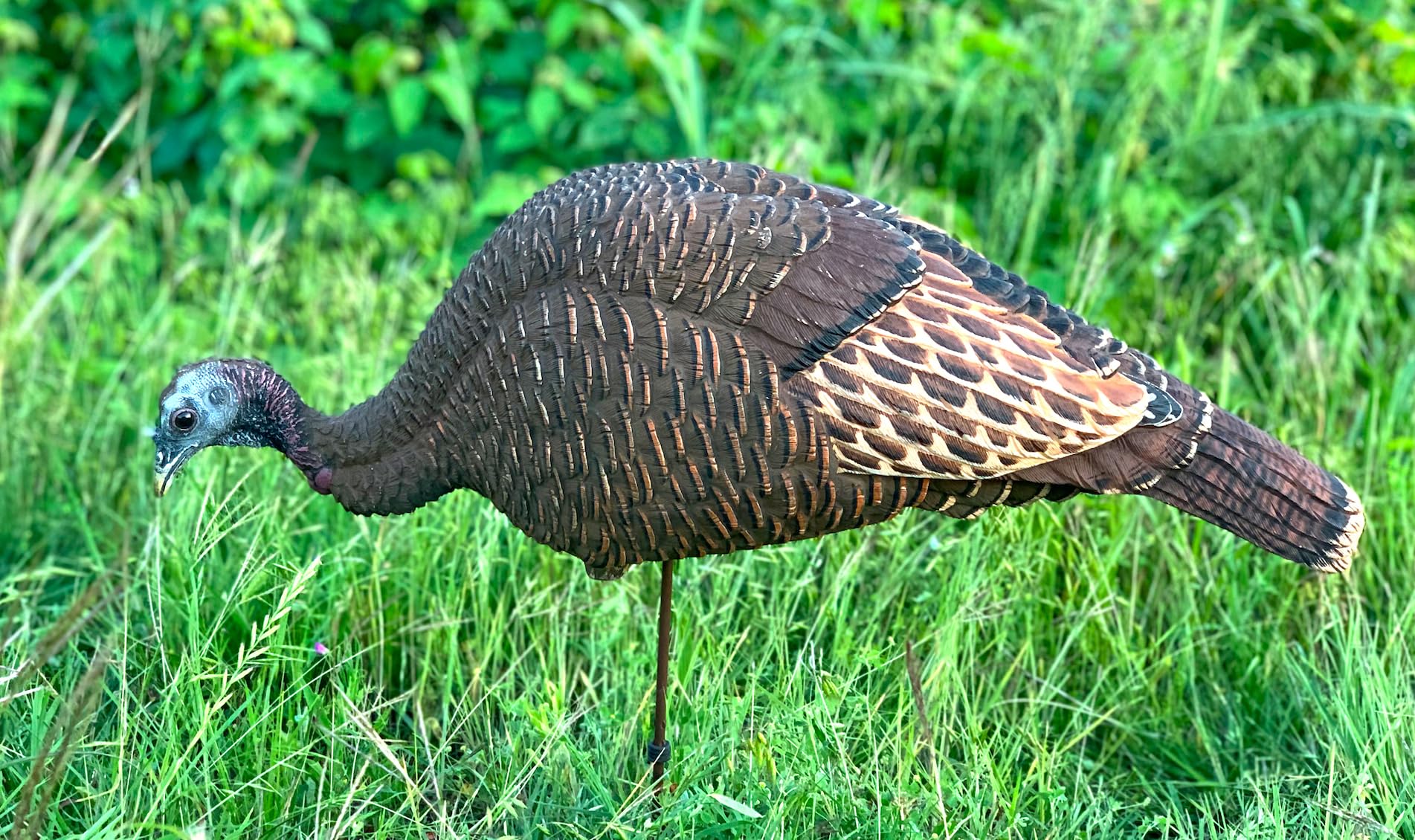 MOJO Outdoors reliable branding adds trust for durable hunting decoys in tough conditions.