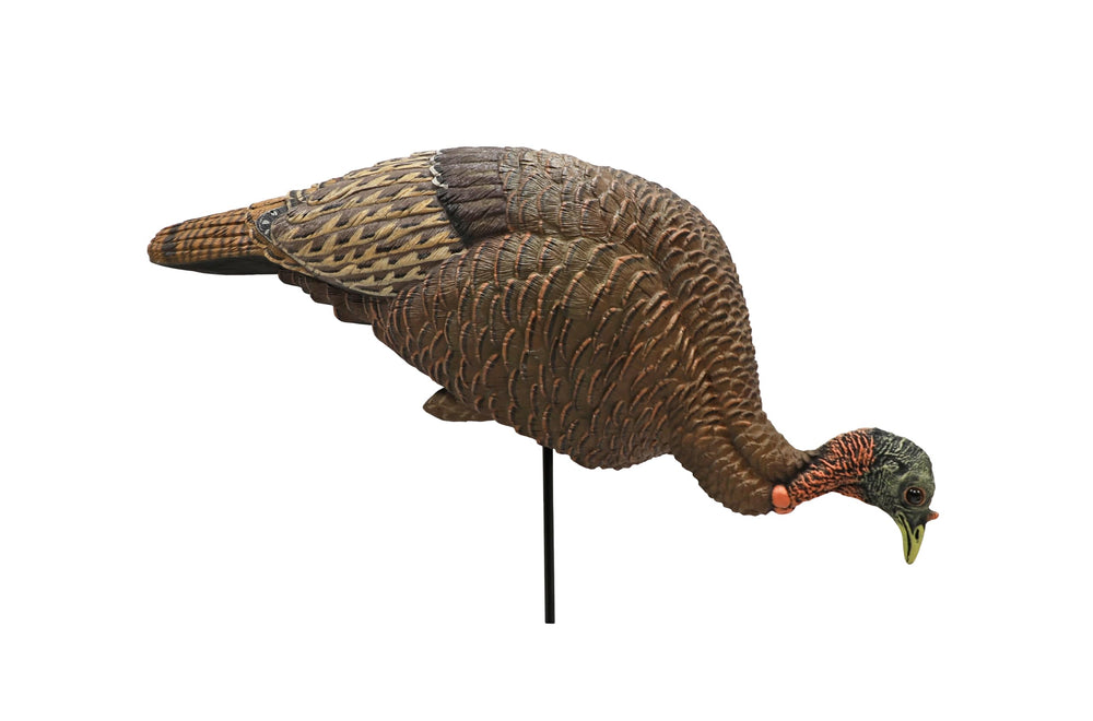 MOJO Outdoors decoy pose signifies rugged weather durability for harsh outdoor hunts.