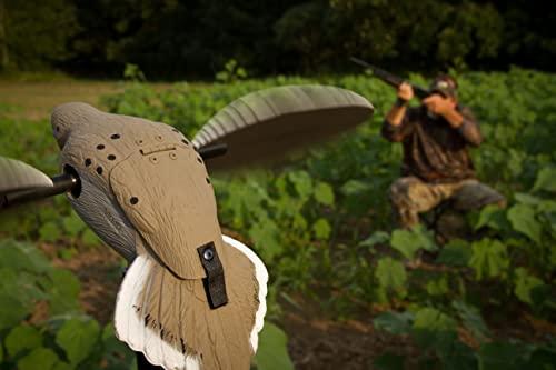 MOJO Outdoors VooDoo Dove Decoy shipped in compact packaging.