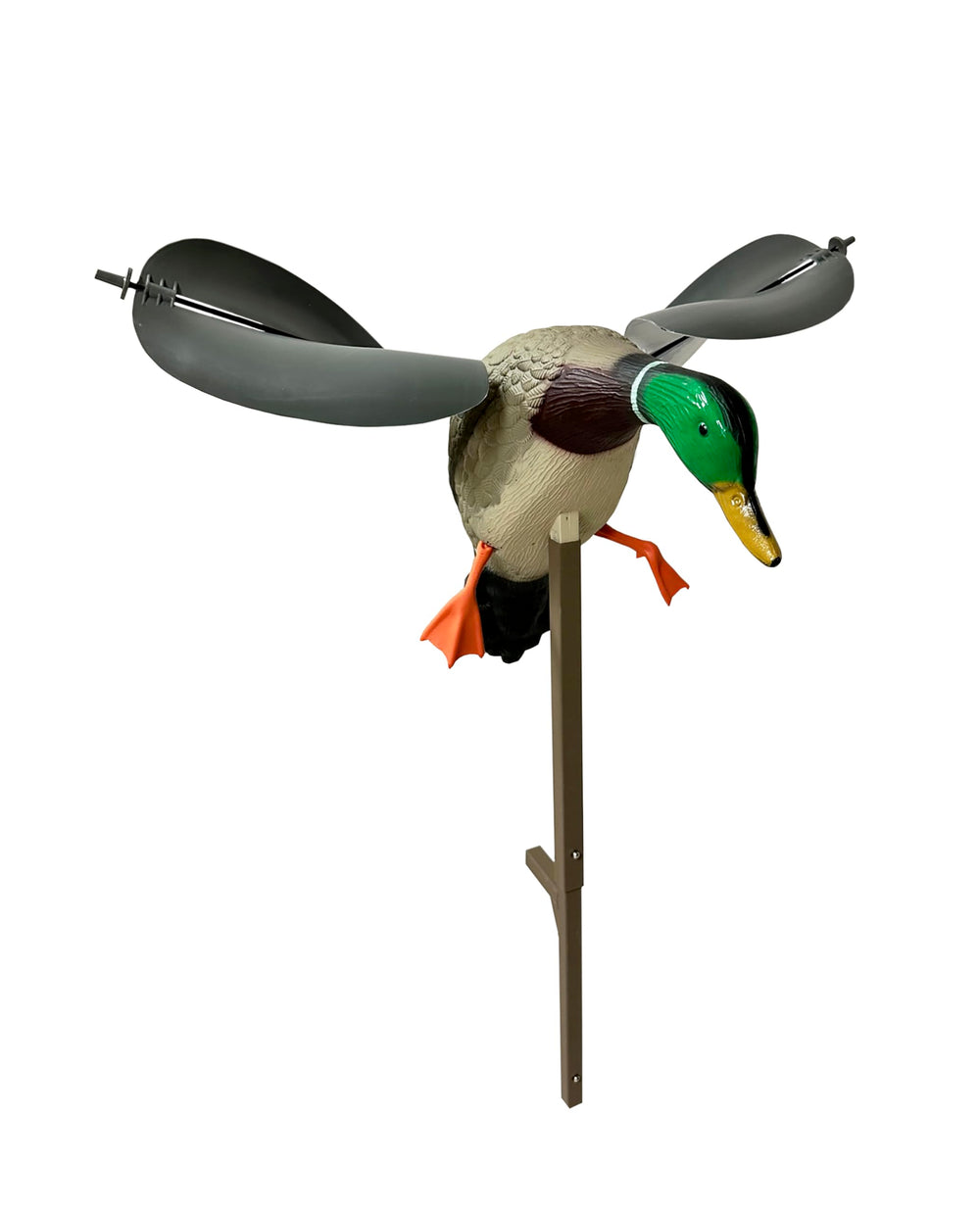 MOJO Outdoors Wind Duck lifelike drake decoy attracts ducks with realistic mallard details.