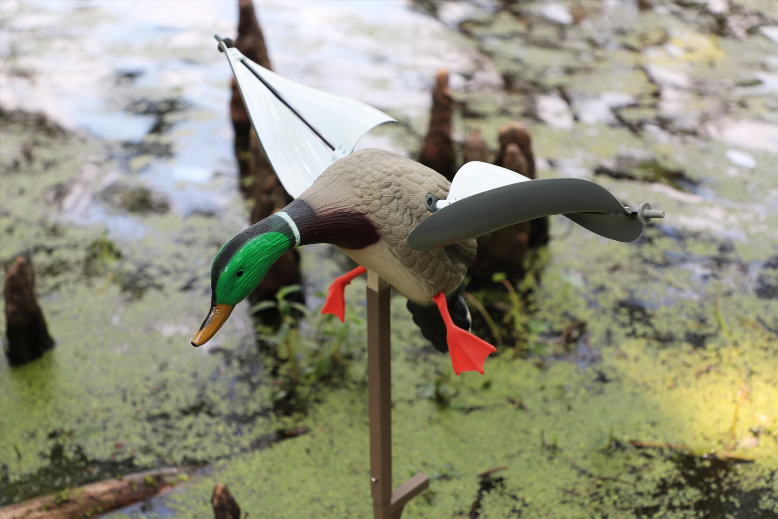 MOJO Outdoors Wind Duck lightweight design enables easy carry to remote spots.