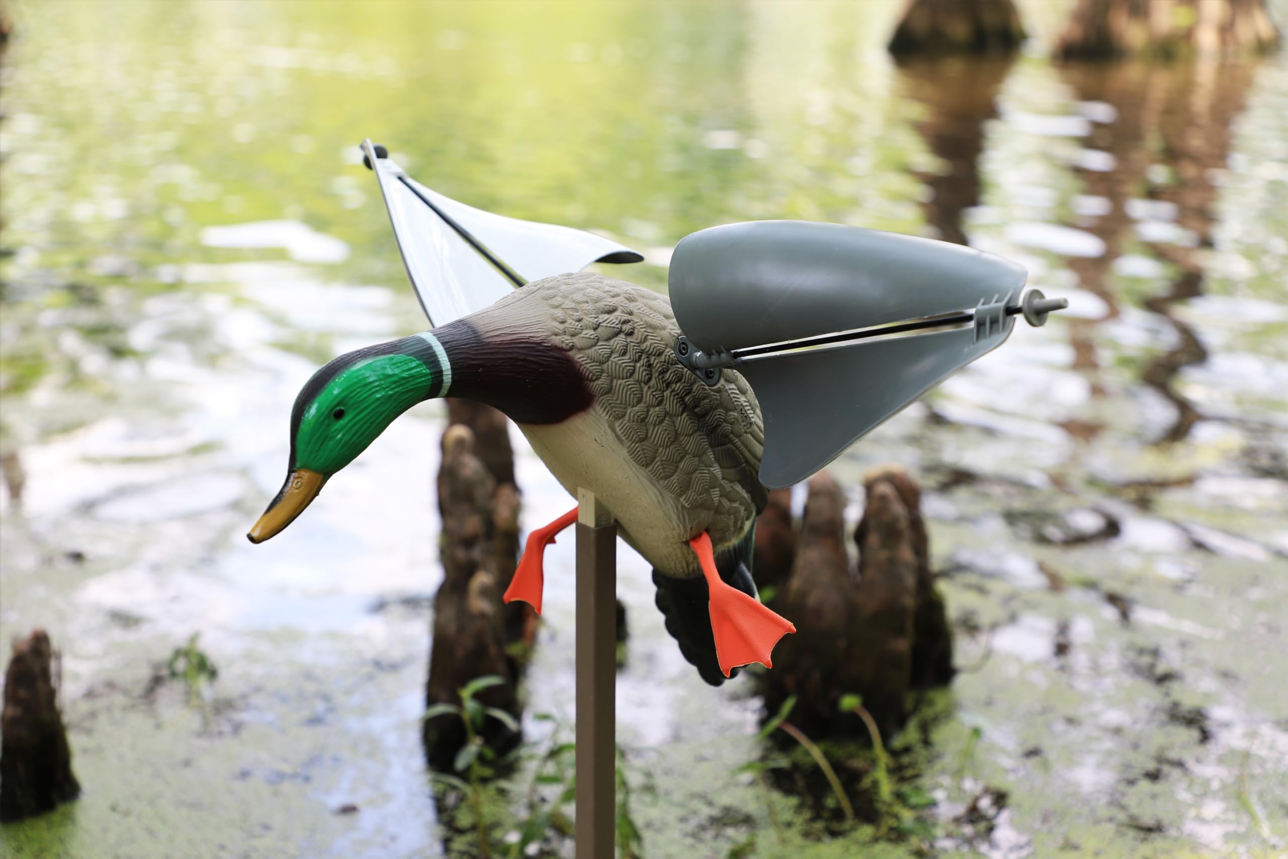 MOJO Outdoors Wind Duck is packable for easy transport between hunting locations.