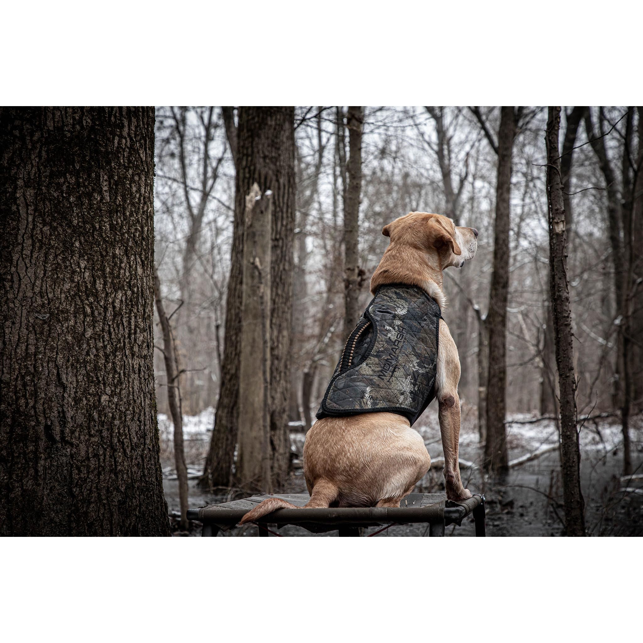 Momarsh Final Stand lightweight portable design ideal for on-the-go training between blinds.