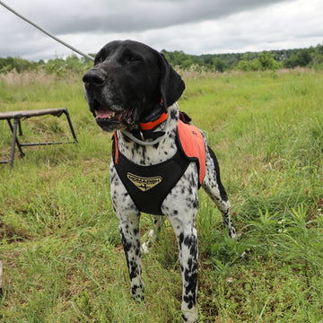Momarsh Versa Vest high-visibility orange for safety during hunts