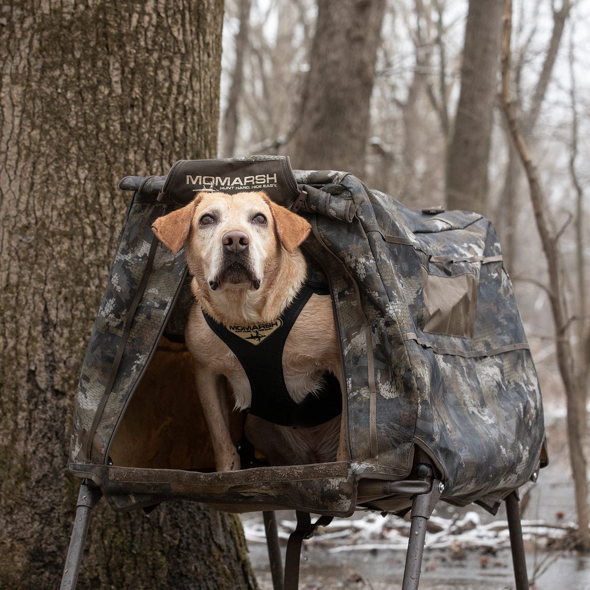 Momarsh Invisi Lab blind Optifade Timber camouflage aids concealment.