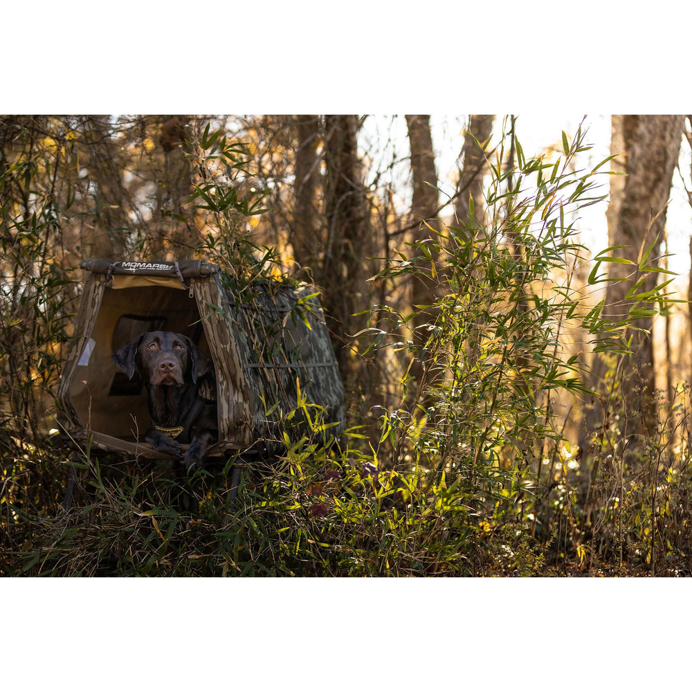 Momarsh Invisi Lab Dog Blind removable Velcro-cover keeps openings tidy.