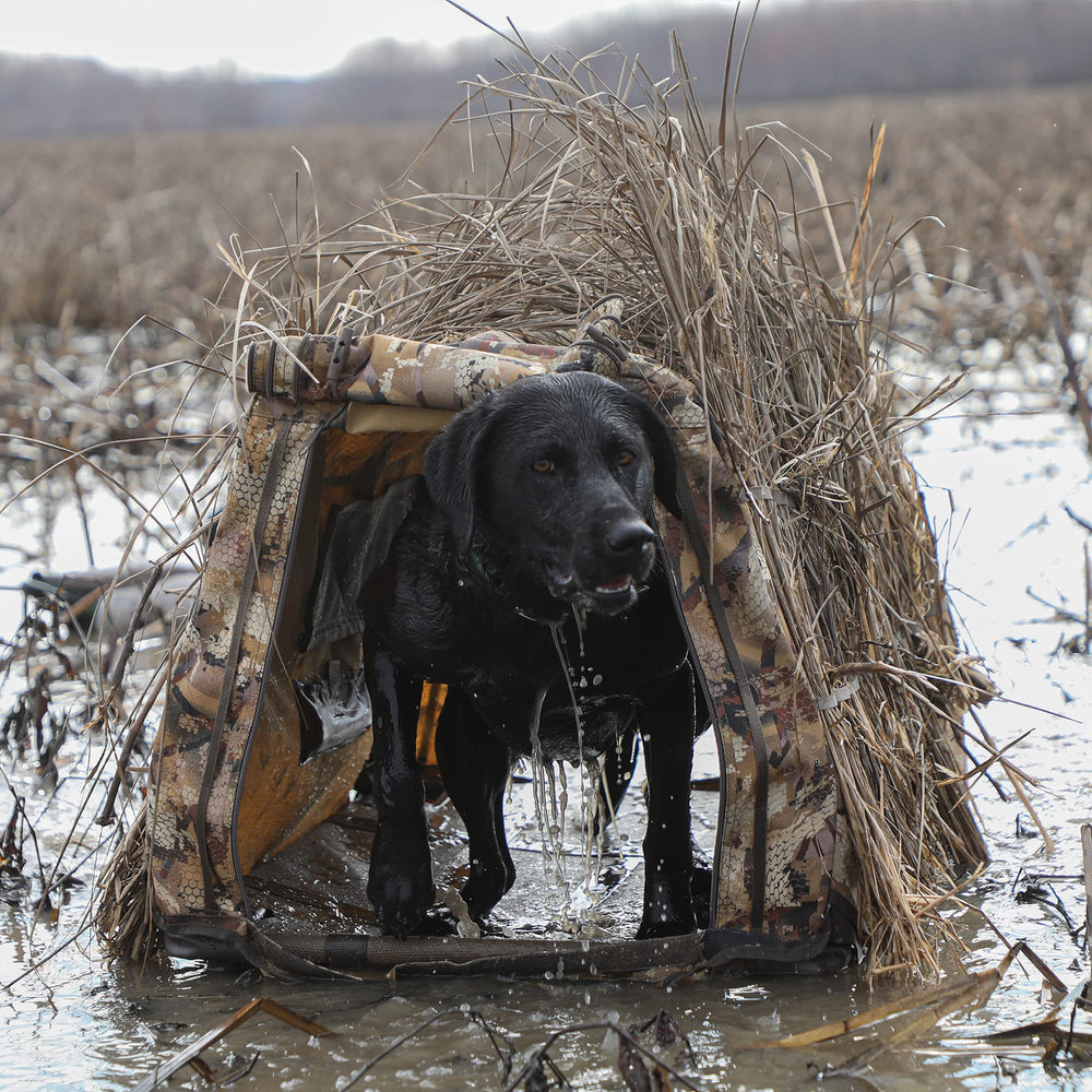 Momarsh Invisi Lab Dog Blind Optifade Marsh concealment pattern