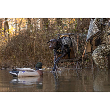 Momarsh Invisi Lab Dog Blind door-toggle-open helps maintain open position.