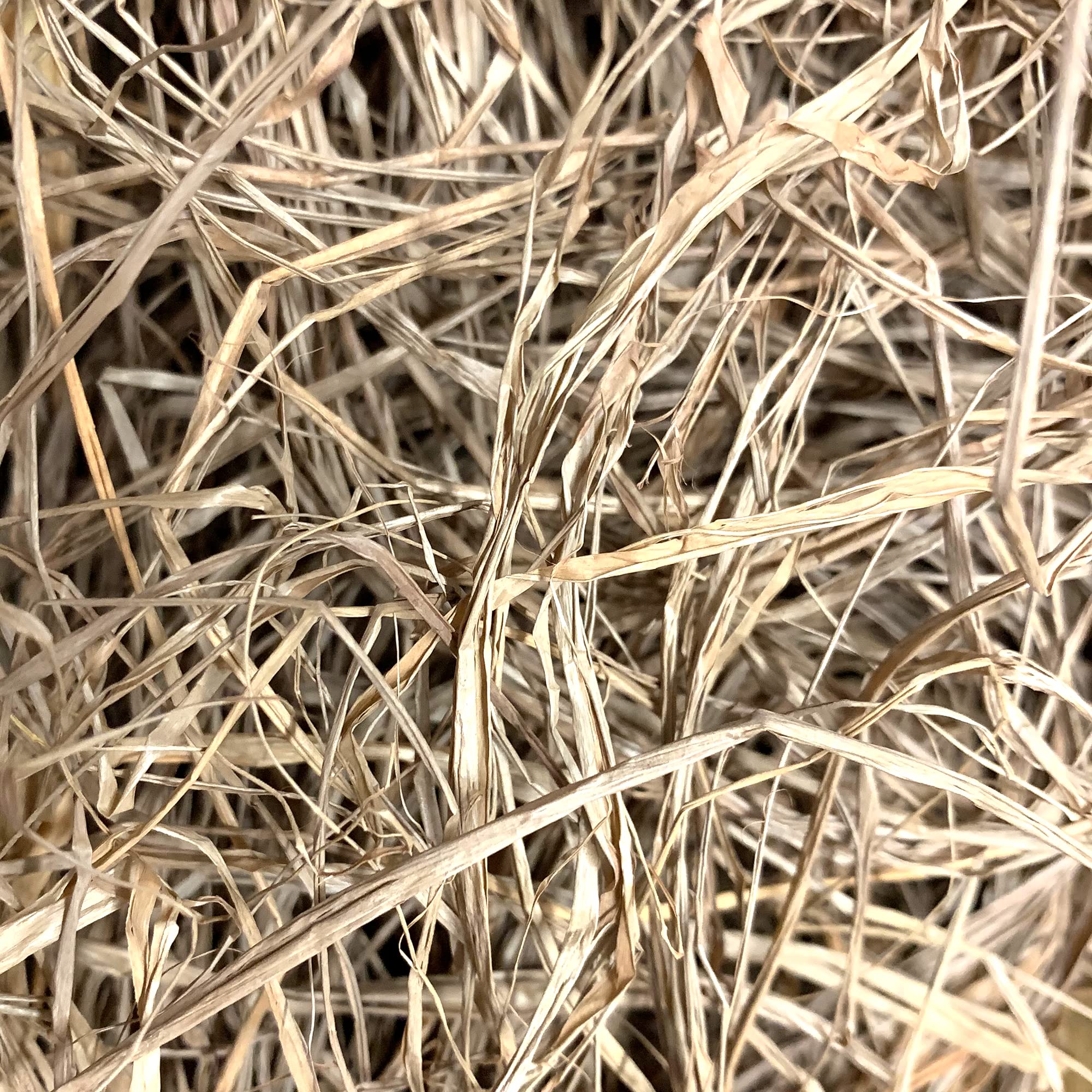 Momarsh InvisiGrass bundle offers multiple color options for different environments.