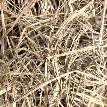 Momarsh InvisiGrass bundle offers multiple color options for different environments.