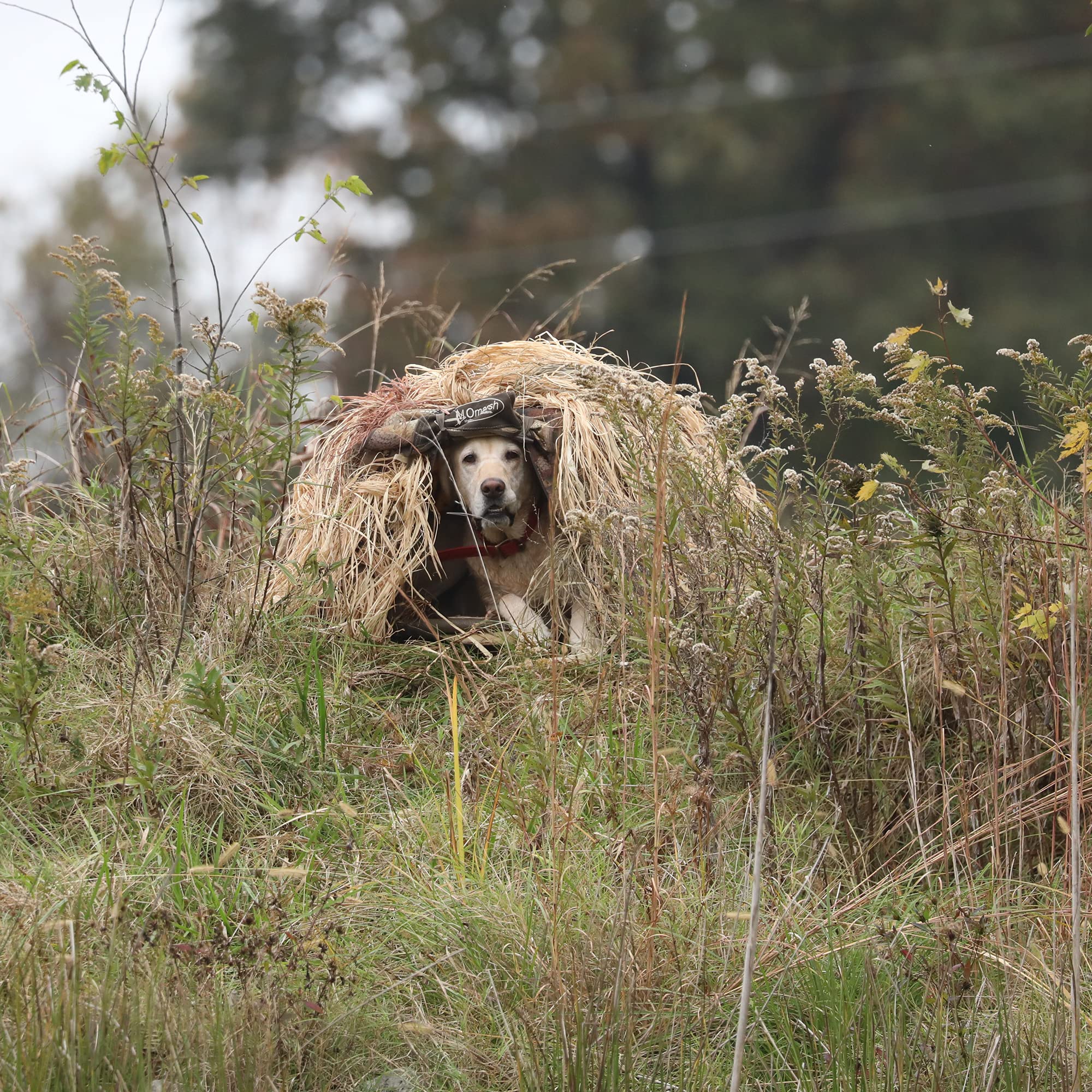 Momarsh InvisiGrass durable material resists rain and wind for long hunts