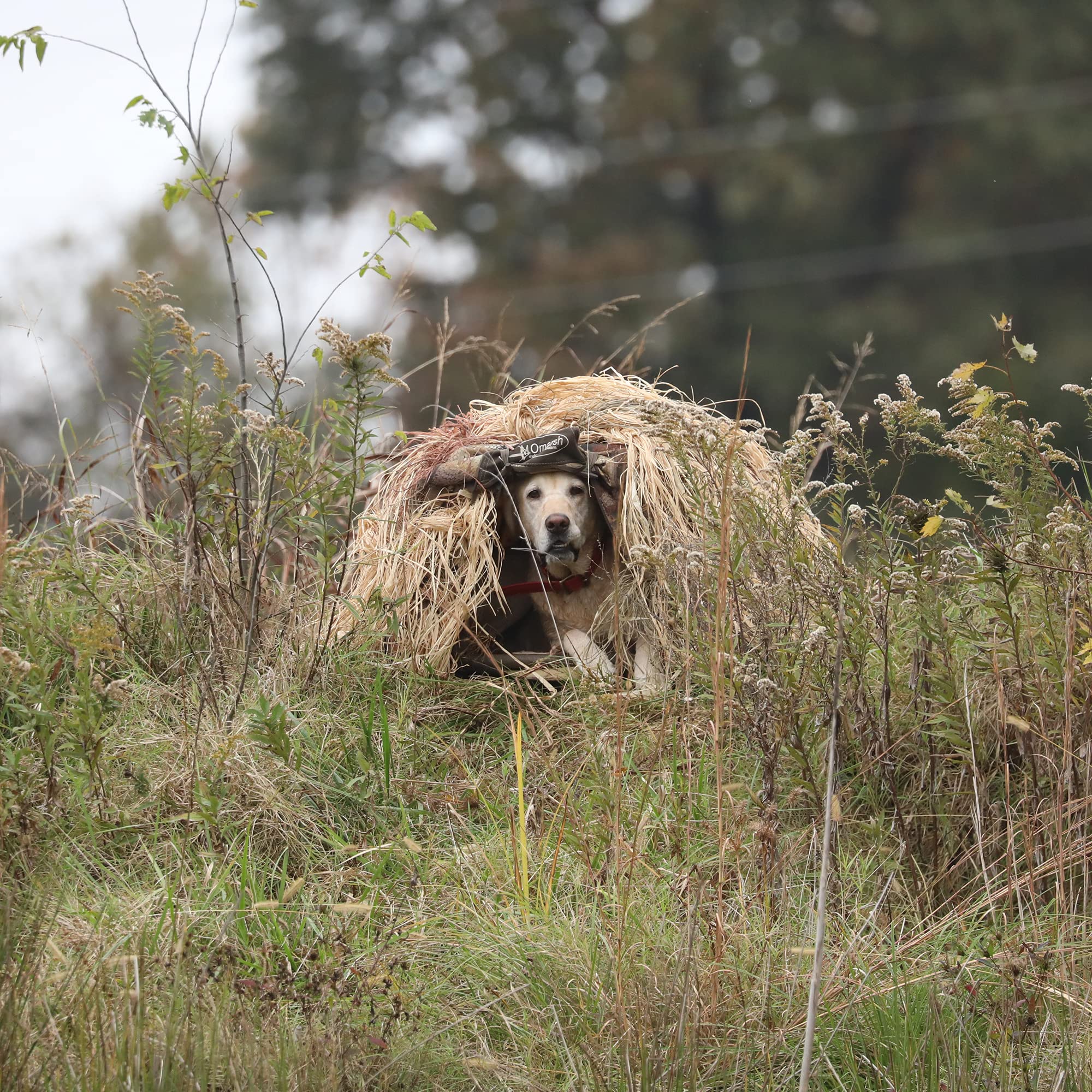 Momarsh InvisiGrass bundle enables quick setup for season-long concealment.