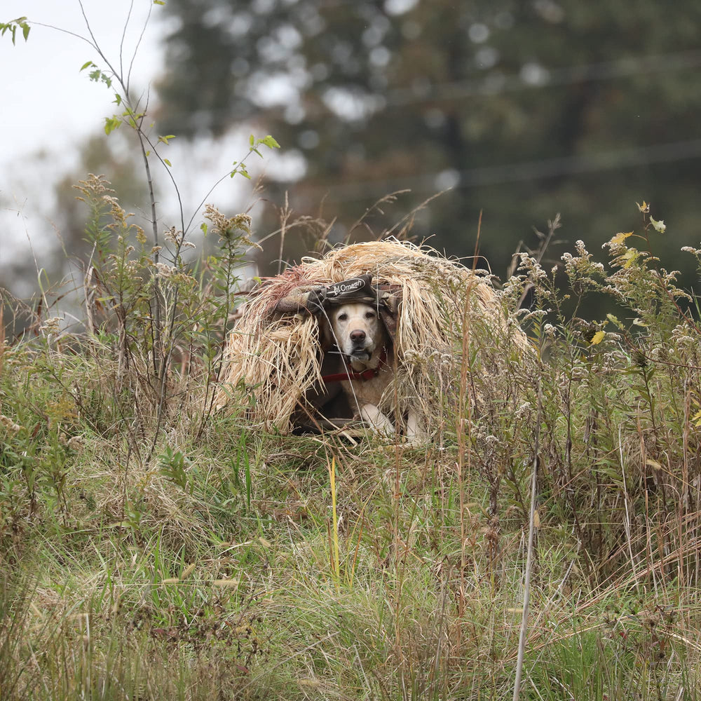Momarsh InvisiGrass bundle enables quick setup for season-long concealment.