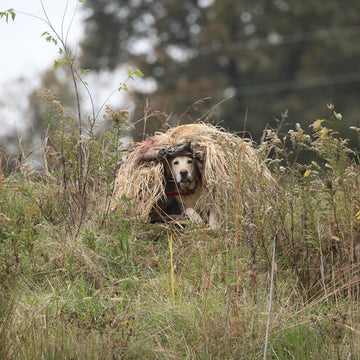Momarsh InvisiGrass bundle enables quick setup for season-long concealment.