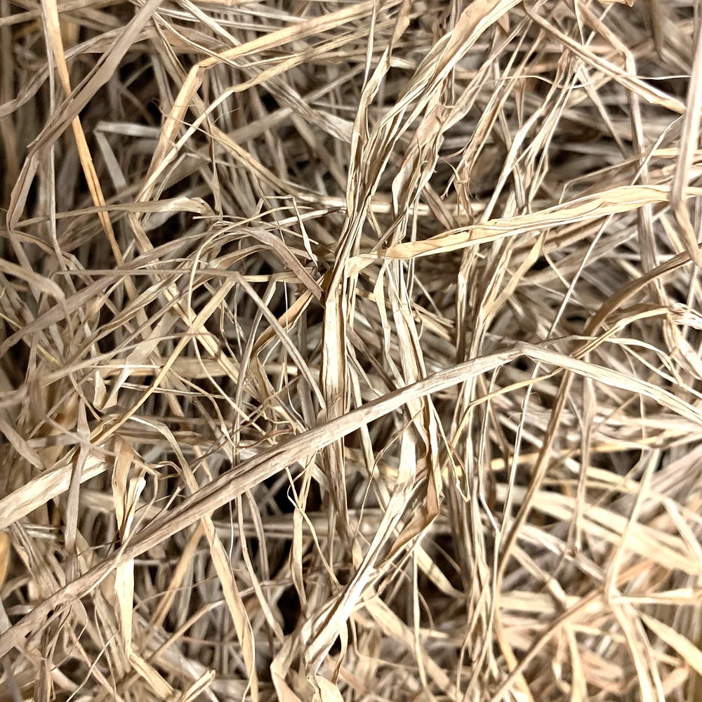 Momarsh InvisiGrass bundle suited for multiple seasons and varied environments