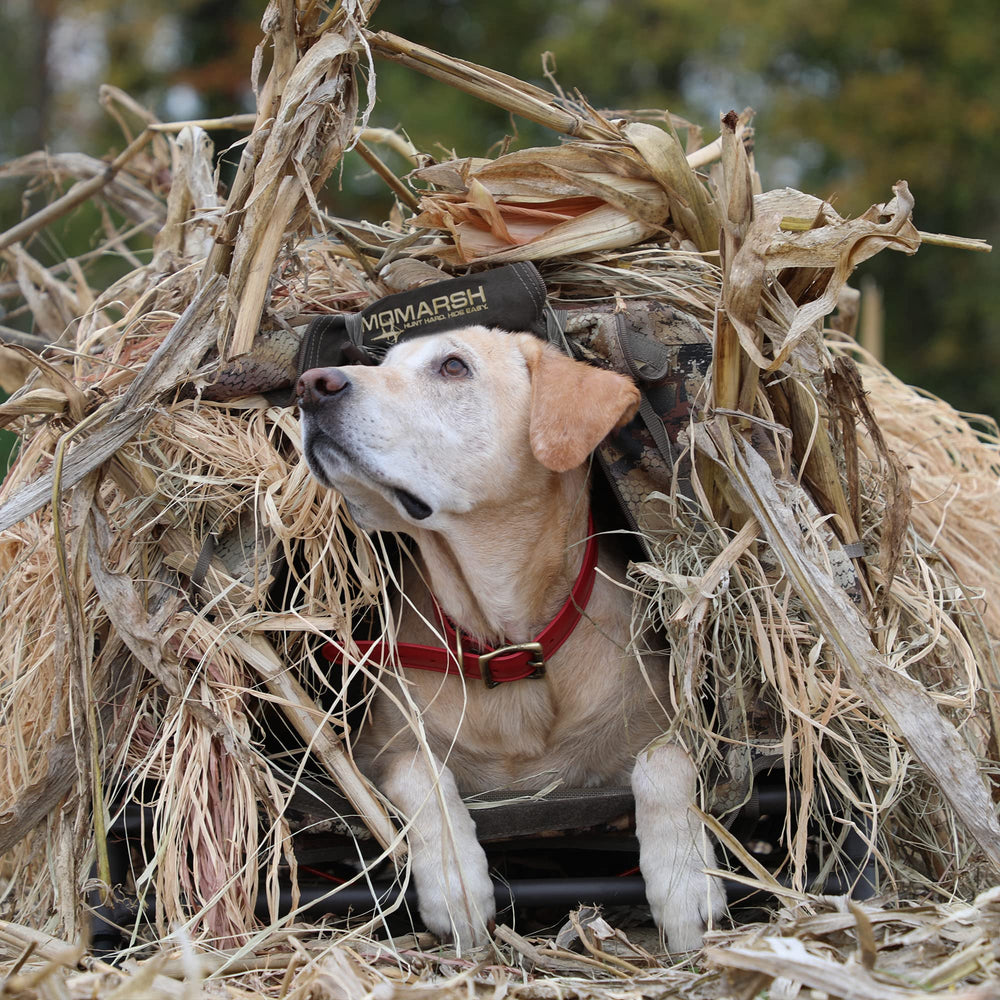 Momarsh InvisiGrass olive blind-compatibility demonstrates versatile use with layouts and boats