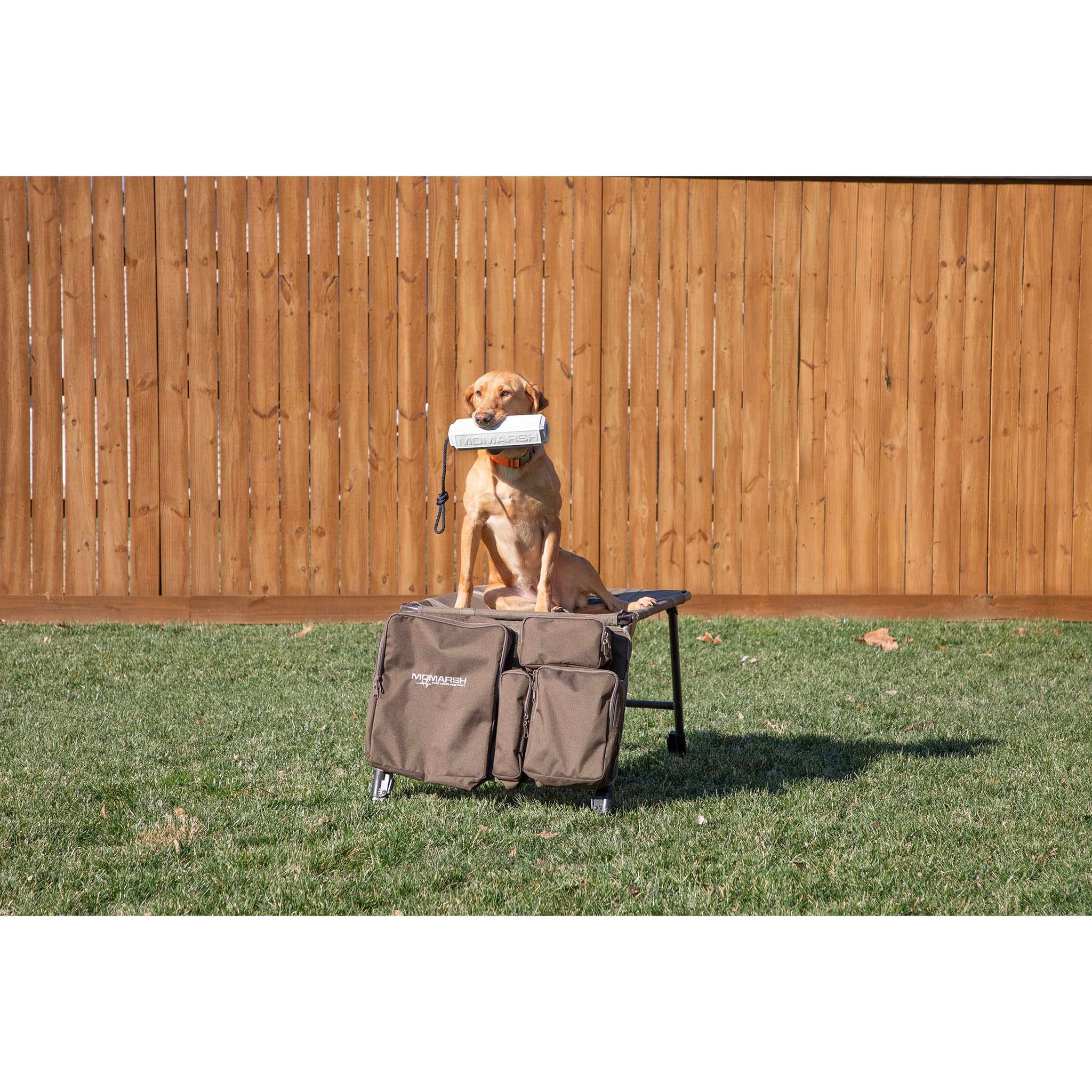 Momarsh LabLocker folded for transport provides easy access on the go.