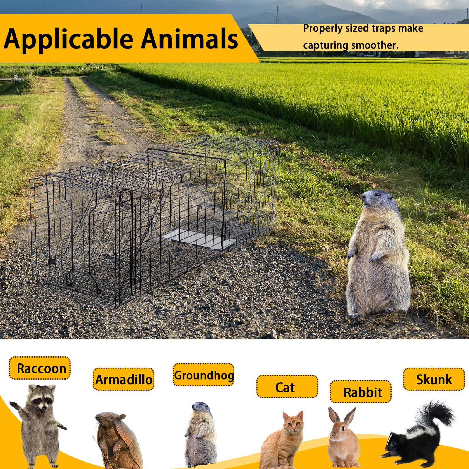 Mondogreet heavy-duty live trap with humane release door for safe release.