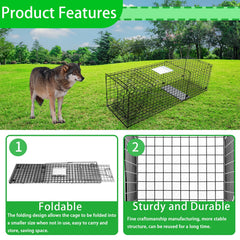 Mondogreet heavy-trap-foldable-steel, portable design for convenient field setup.