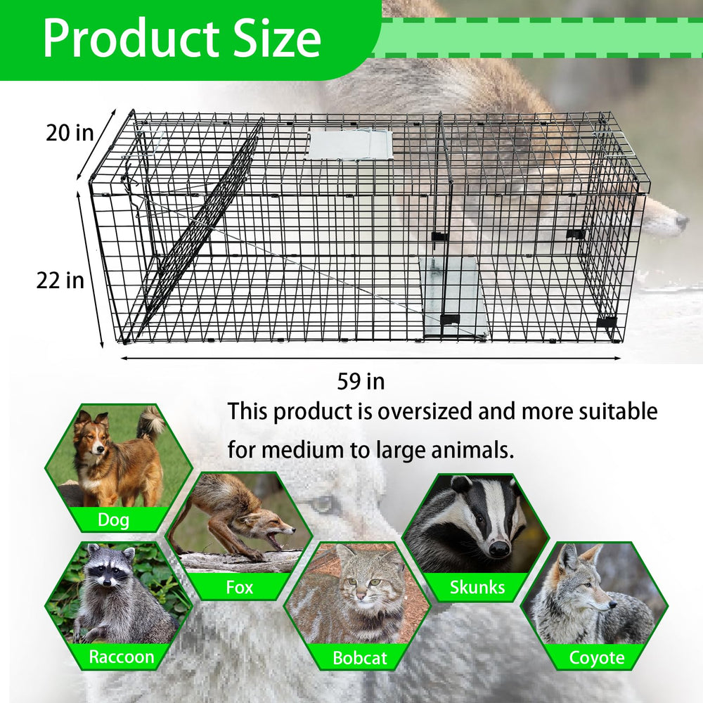 Mondogreet heavy-trap release-door open for easy relocation of captured animals.