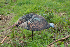 Montana Decoy Dinner Belle Hen decoy works solo or with other hens.