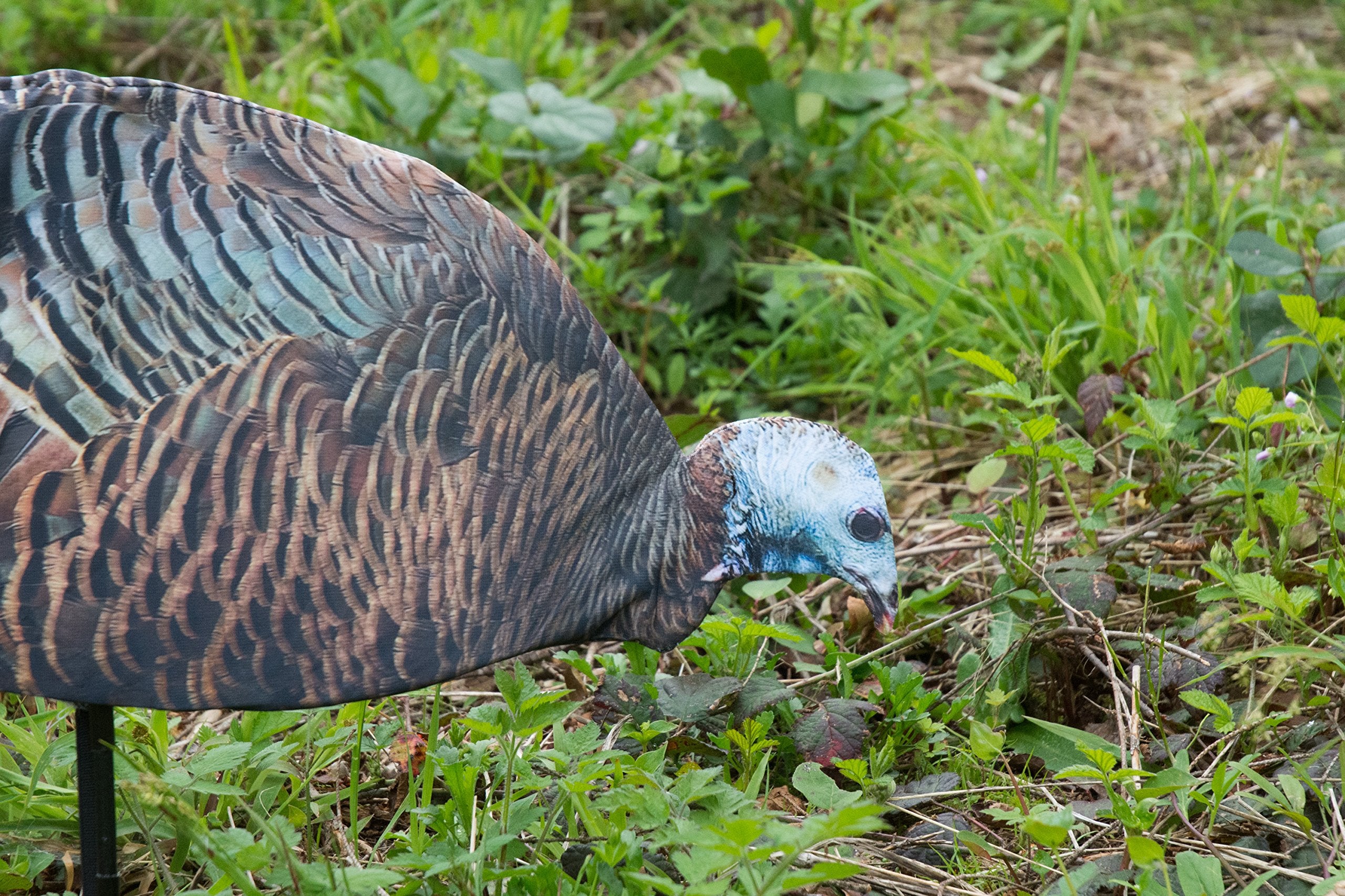 Montana Decoy Dinner Belle Hen decoy adds realistic field visuals.