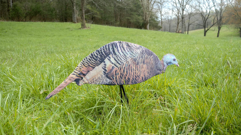 Montana Decoy Dinner Belle Hen decoy suited for spring to fall hunting.