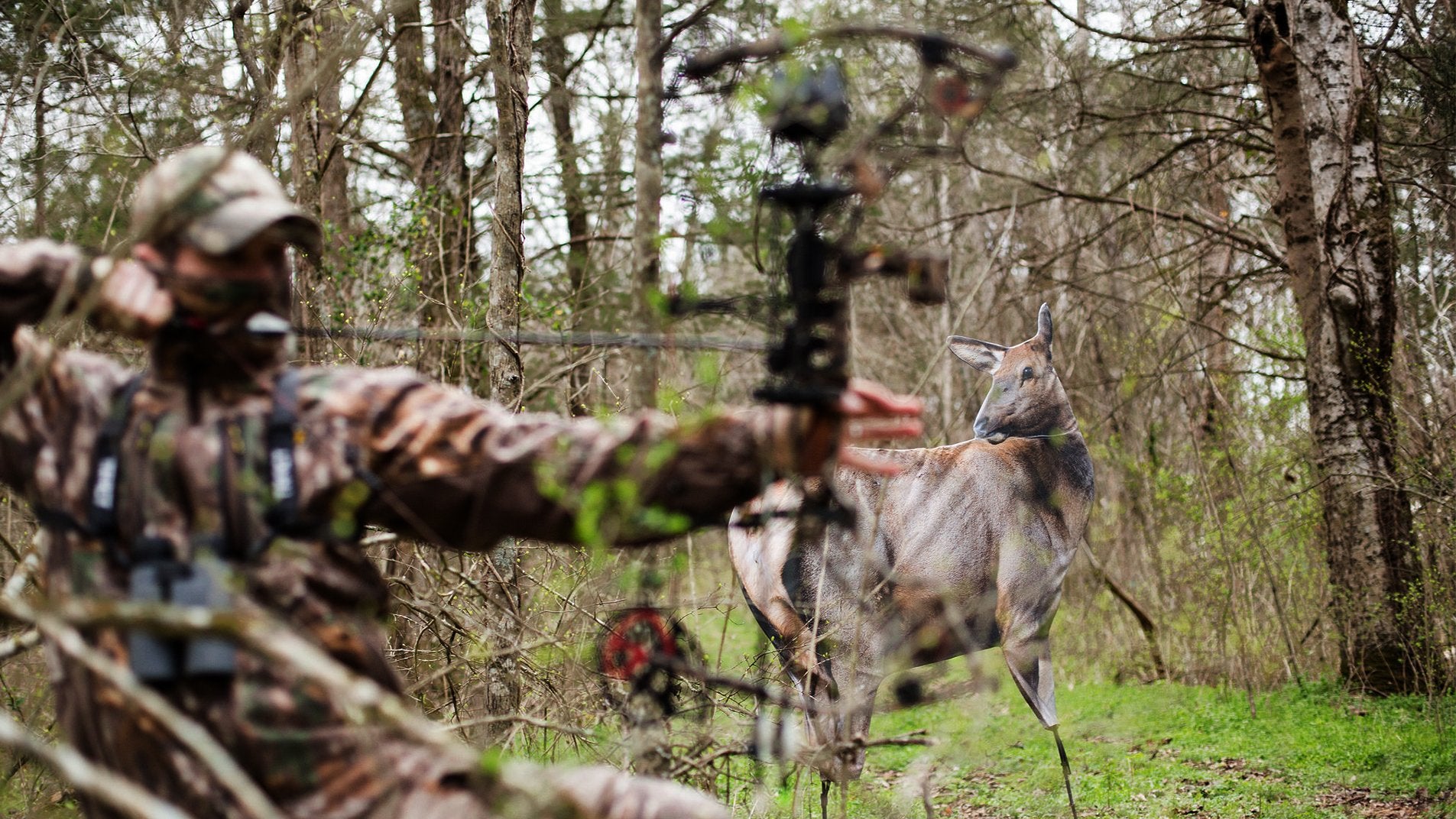 Montana Decoy RMEF Cow Elk suitable for all-season setups.
