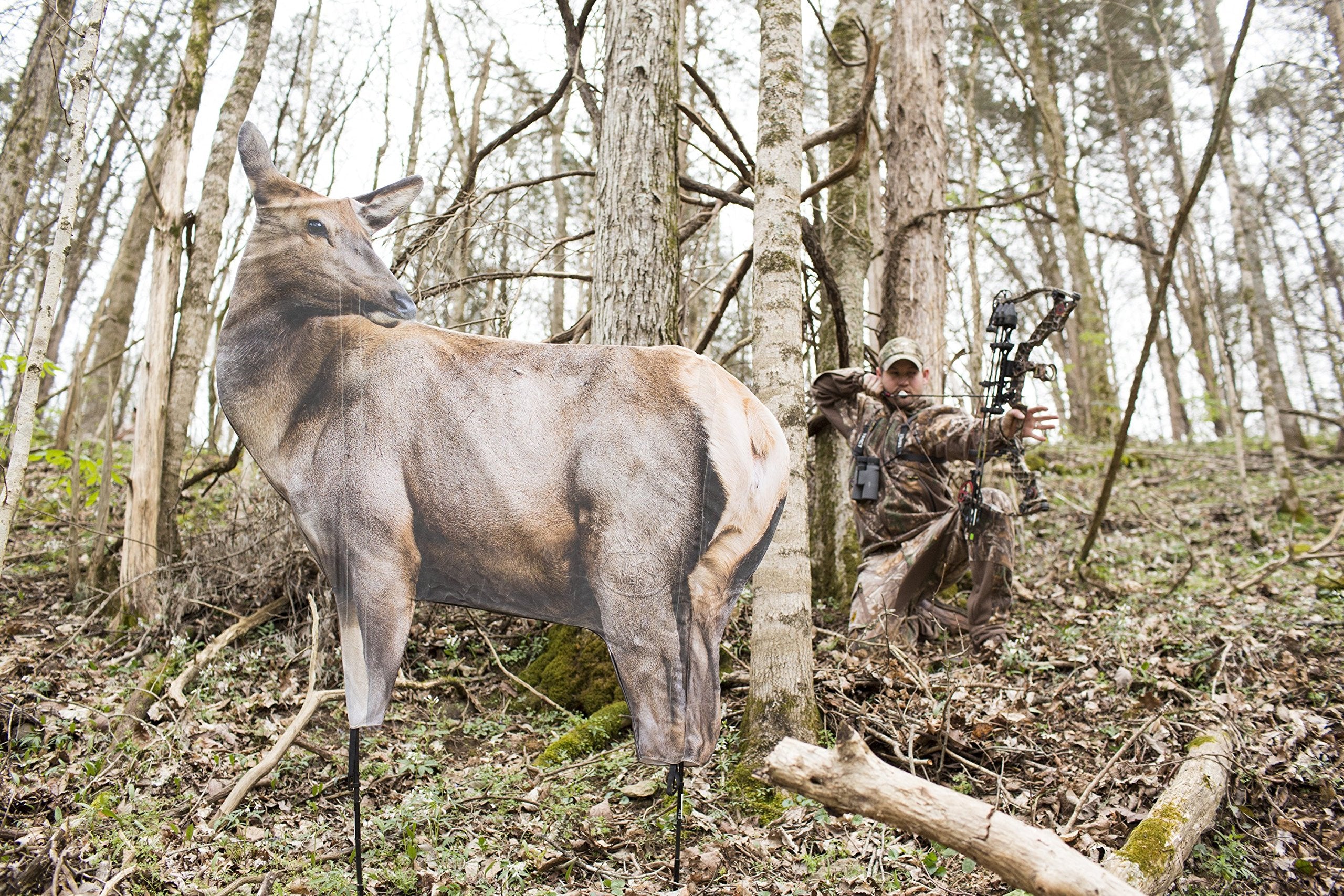 Montana Decoy RMEF Cow Elk stands tall for visibility in terrain.