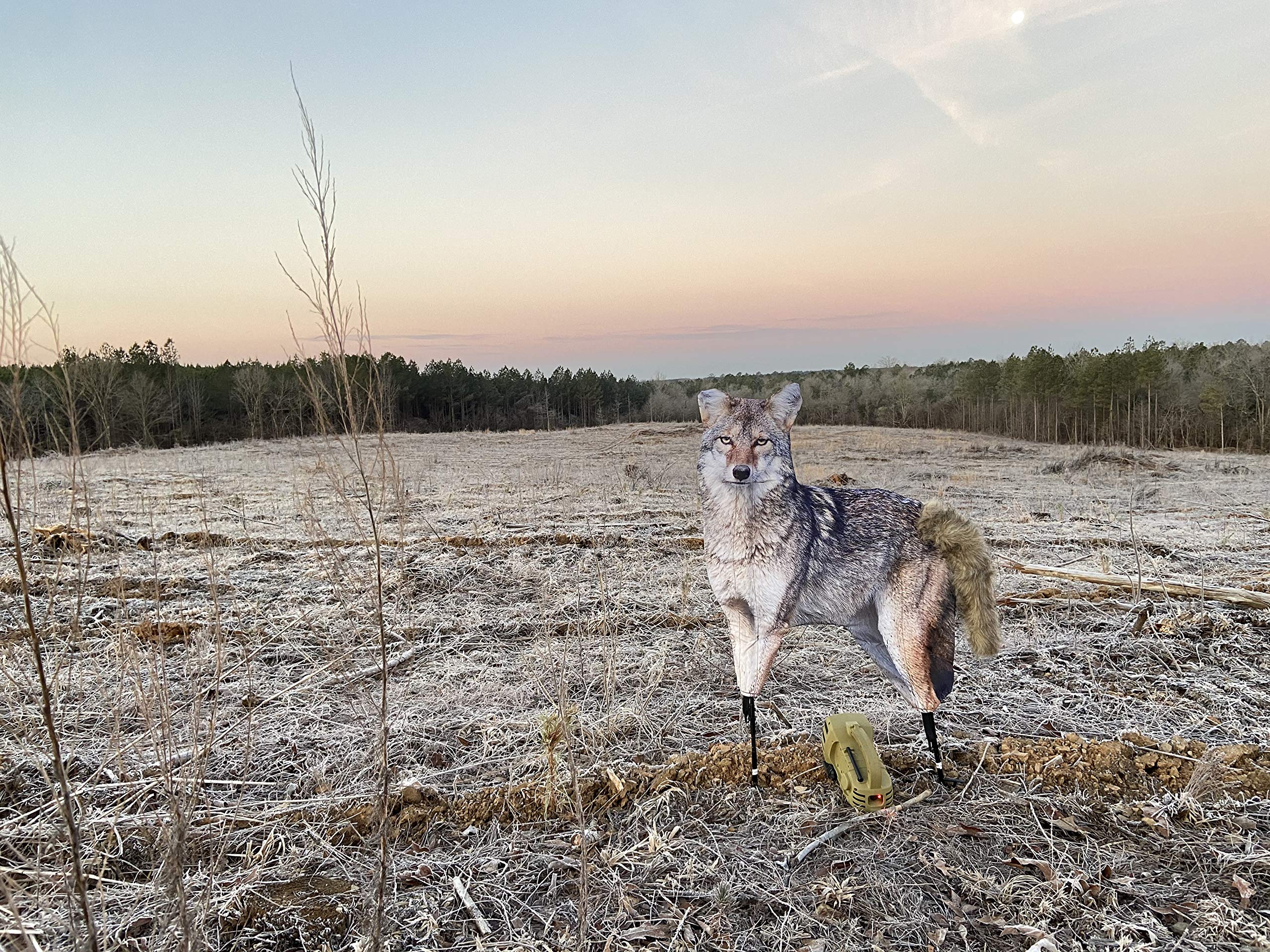Song Dog brown in-field setup demonstrates portable, easy-to-carry design.