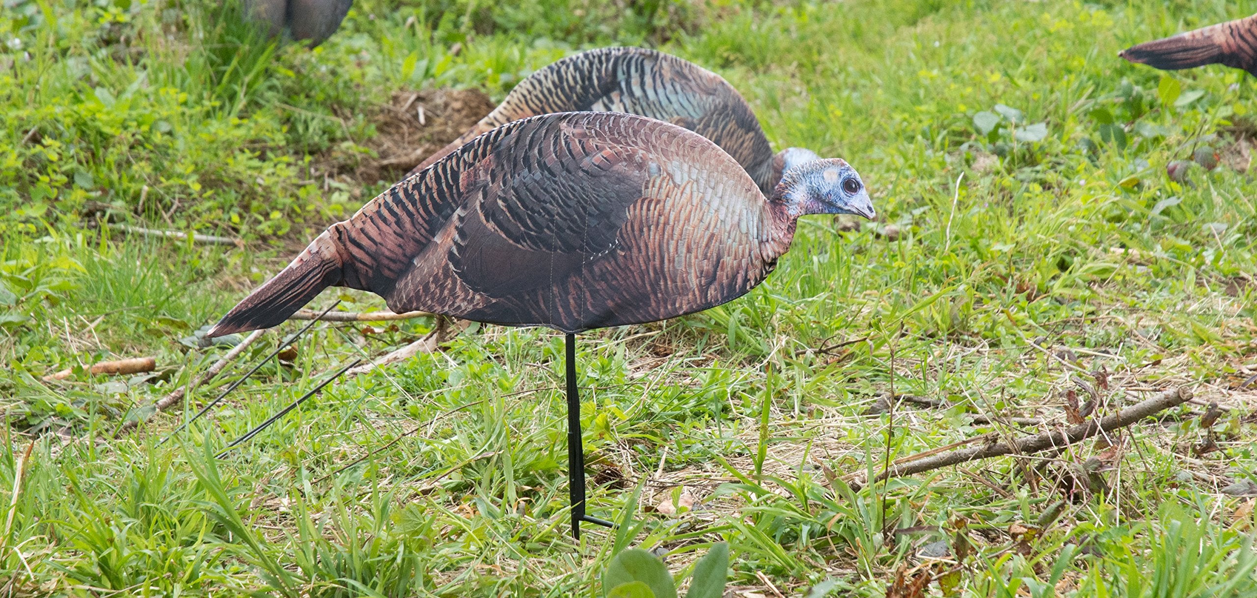 Montana Decoy Spring Fling 2-D hen decoy highlighting simple, affordable realism.