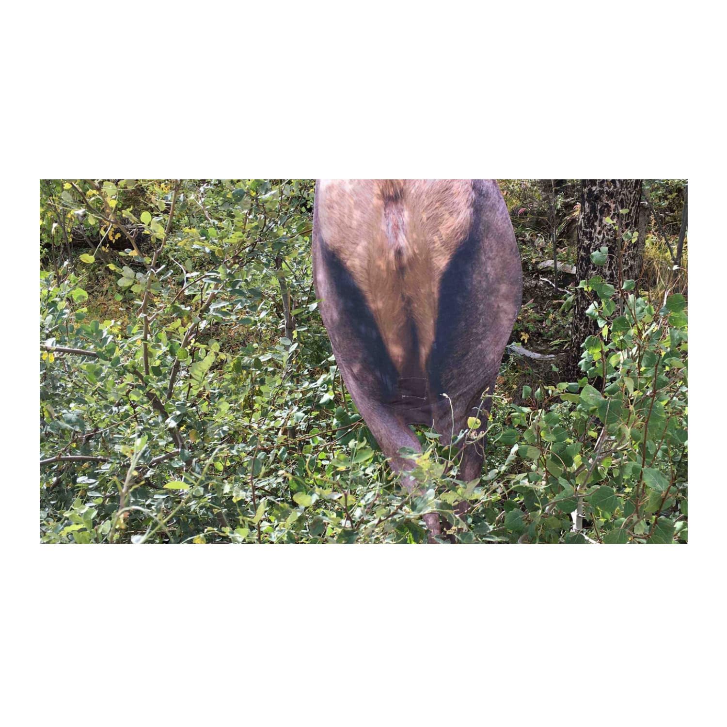 Montana Decoy Back Country Elk decoy on trekking pole for mobile positioning.