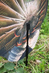 Montana Decoy Fanatic ground stake deployment for fast setup