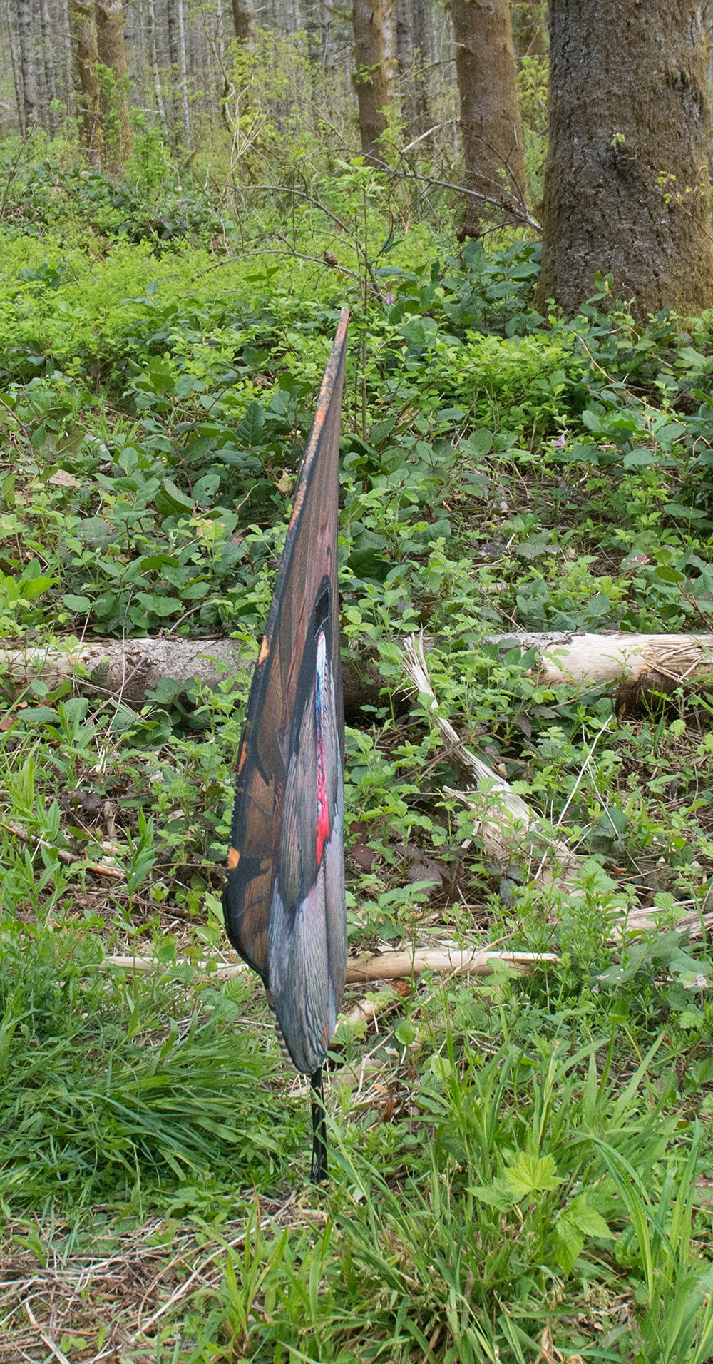 Montana Decoy Fanatic in hand showing readiness for stalks