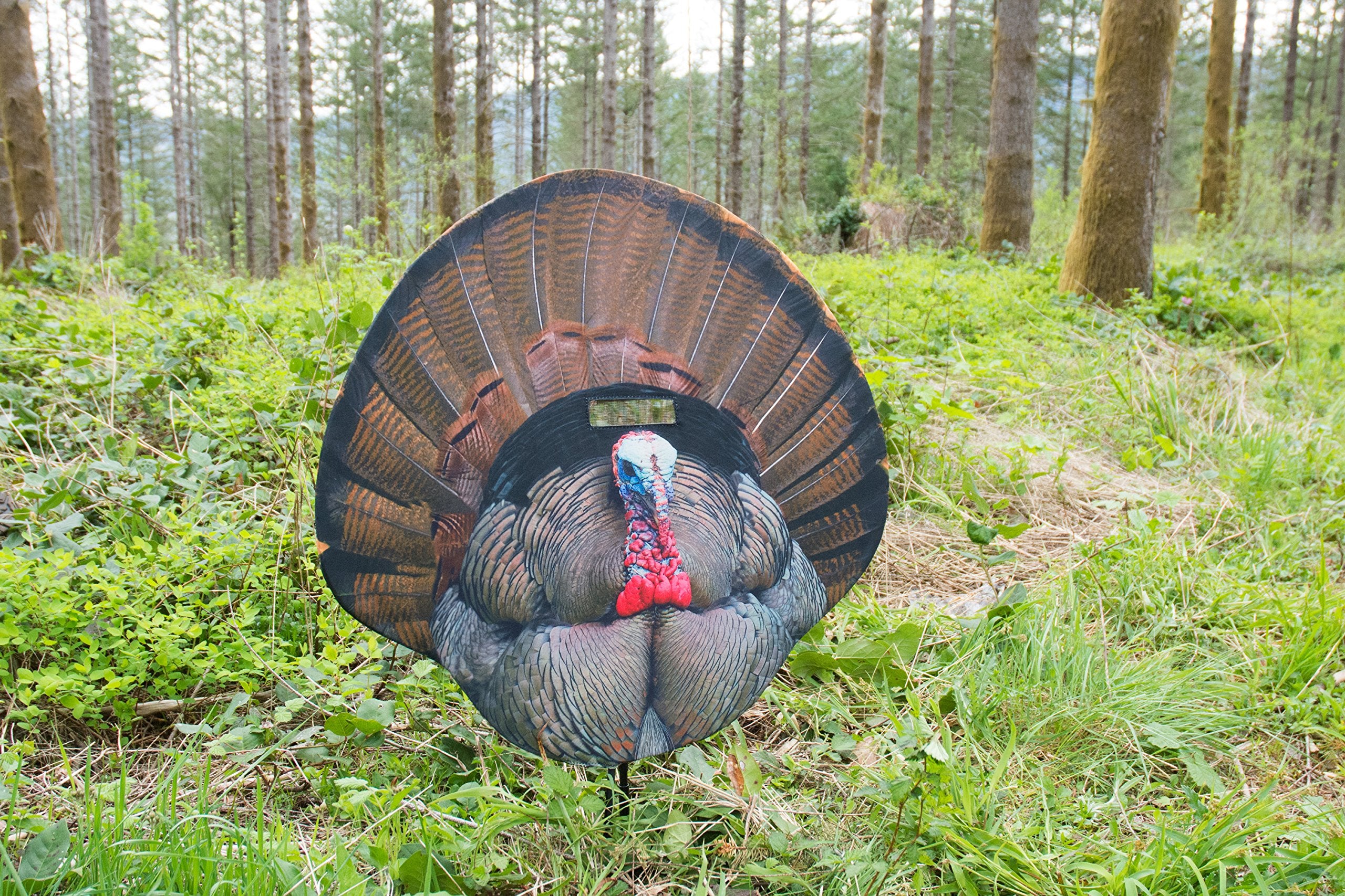 Montana Decoy Fanatic see-through mesh provides concealment until shot