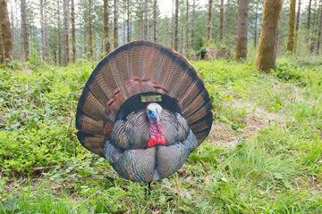 Montana Decoy Fanatic see-through mesh provides concealment until shot