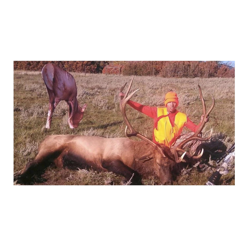 Fiberglass poles and steel stakes included with Miss September