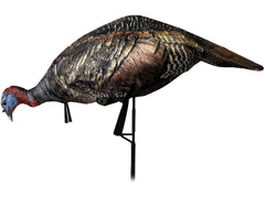 Montana Decoy Purr-Fect Pair XD3 pose options enable stealthy field use