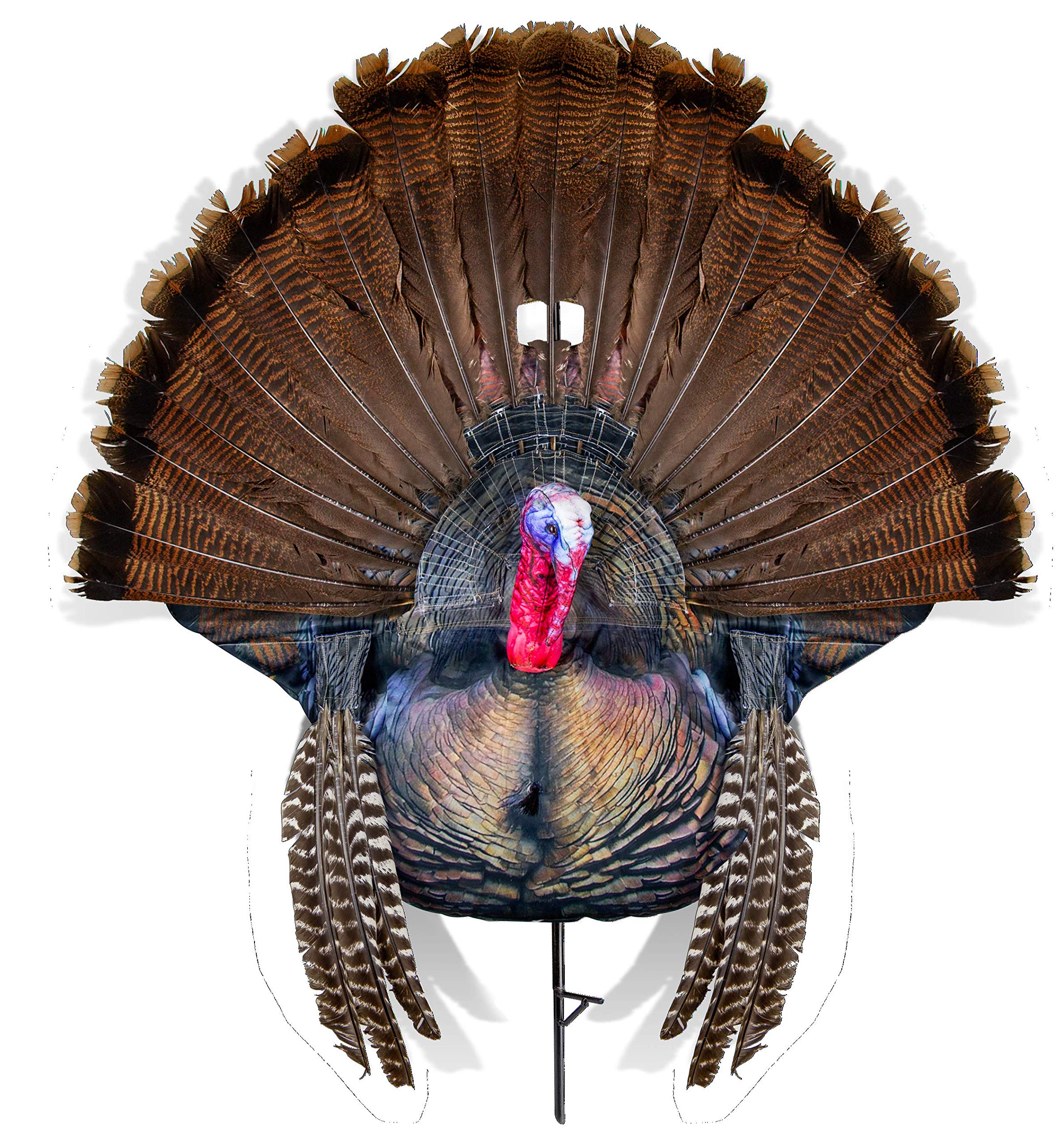 Montana Decoy Wiley Tom 2D decoy for authentic fanning and reaping.